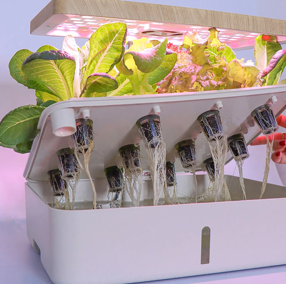 Premium Kit (PICS ARE NOT OF THE ACTUAL PRODUCT - UPDATE SOON!)